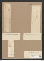 Synedra sp. (de-Toni-Nr.: Genus 66, Species 2596 ?) Zeichnungen Sammlung Grunow Nr. 5406 (NHMW-BOT-W0373836)